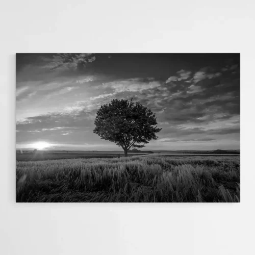 Tableau Arbre Noir et Blanc