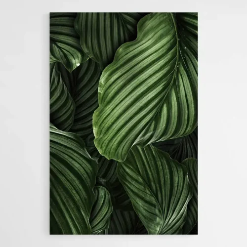 Tableau Feuille Verte