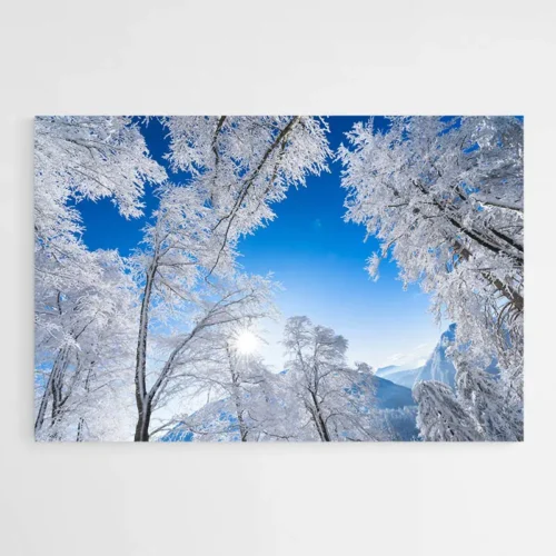 Tableau Foret et Neige