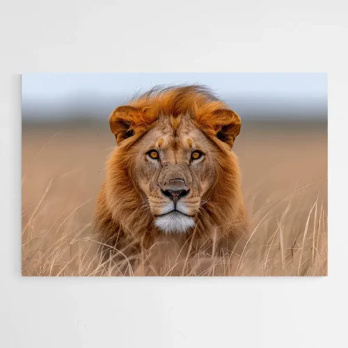 Tableau Lion Savane