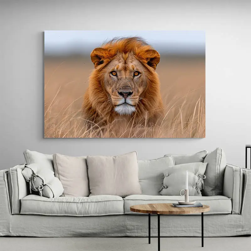 Tableau Lion Savane