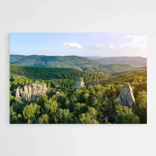 Tableau Paysage Forêt