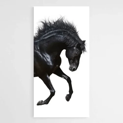 Tableau cheval Contemporain