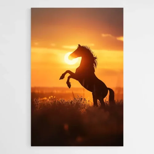Tableau cheval qui cabre au coucher de soleil