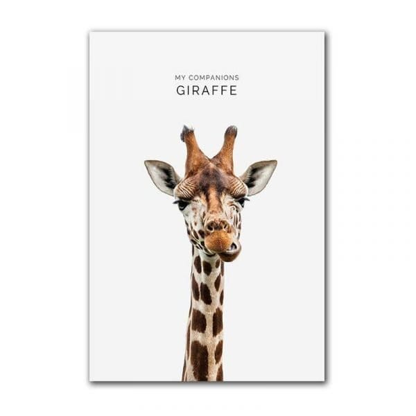 Affiche Girafe
