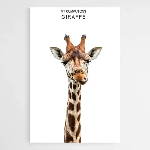 Affiche Girafe