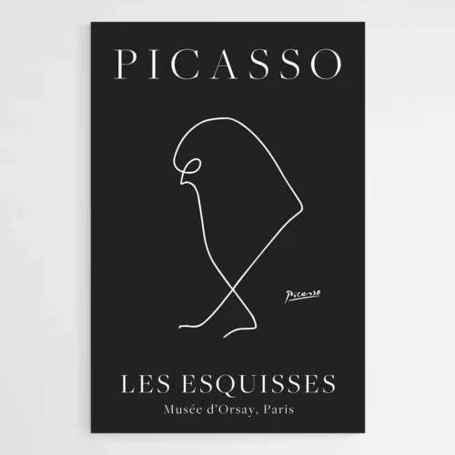 Affiche Picasso pigeon