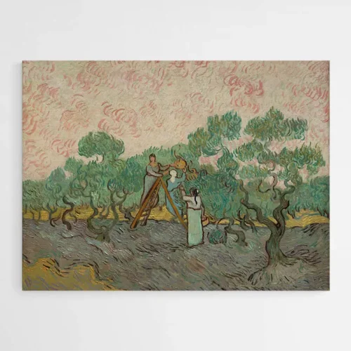 Femme Cueillant des Olives - Van Gogh