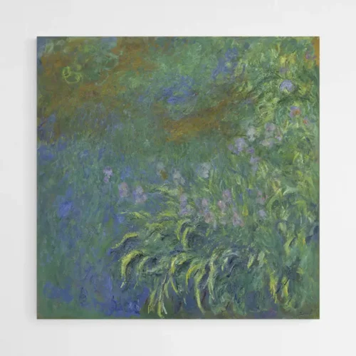 Iris - Monet