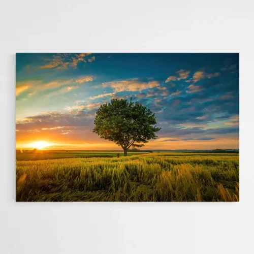 Tableau Arbre Coucher de Soleil