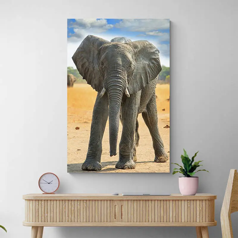 Tableau Bébé Éléphant