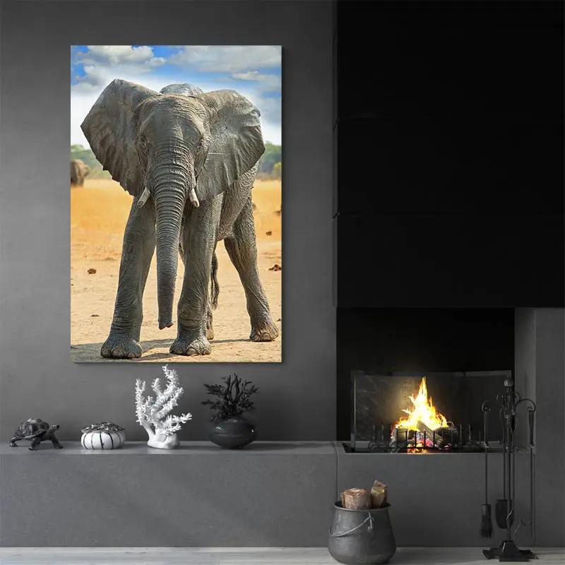 Tableau Bébé Éléphant