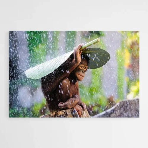 Tableau Bébé Singe