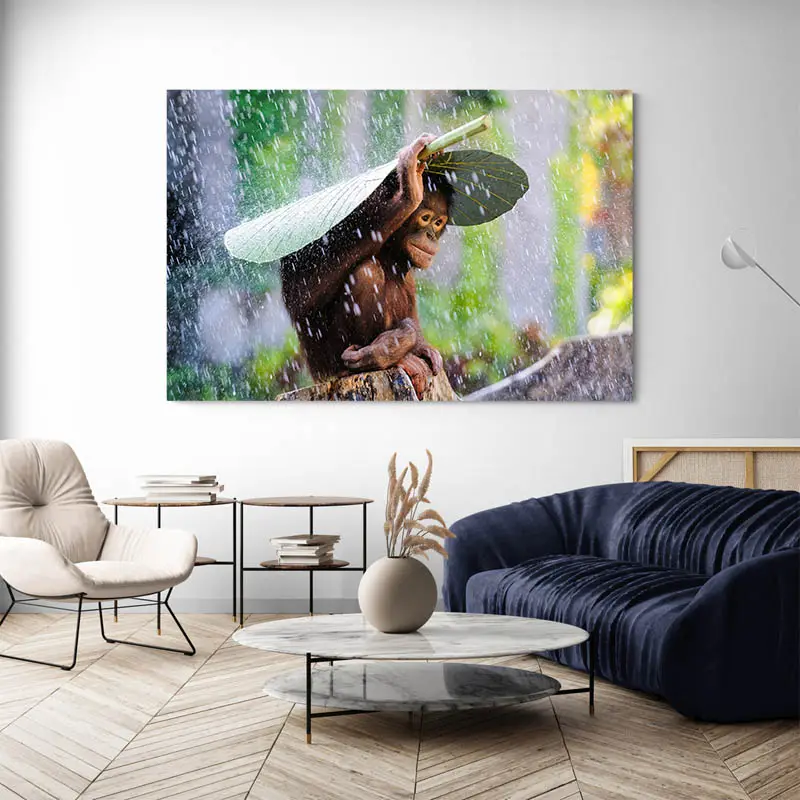 Tableau Bébé Singe