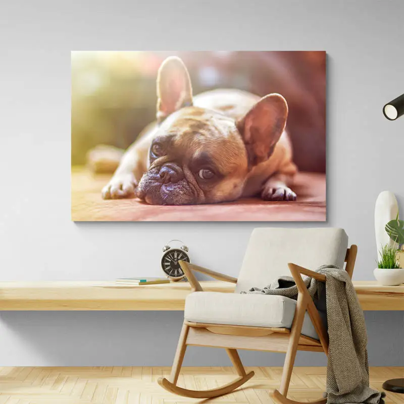 Tableau Bouledogue