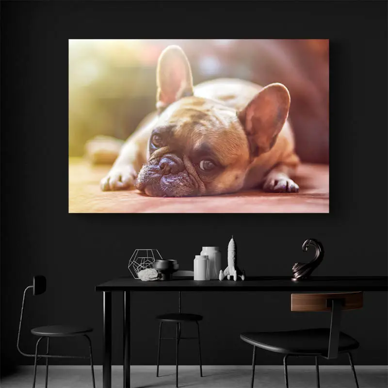 Tableau Bouledogue