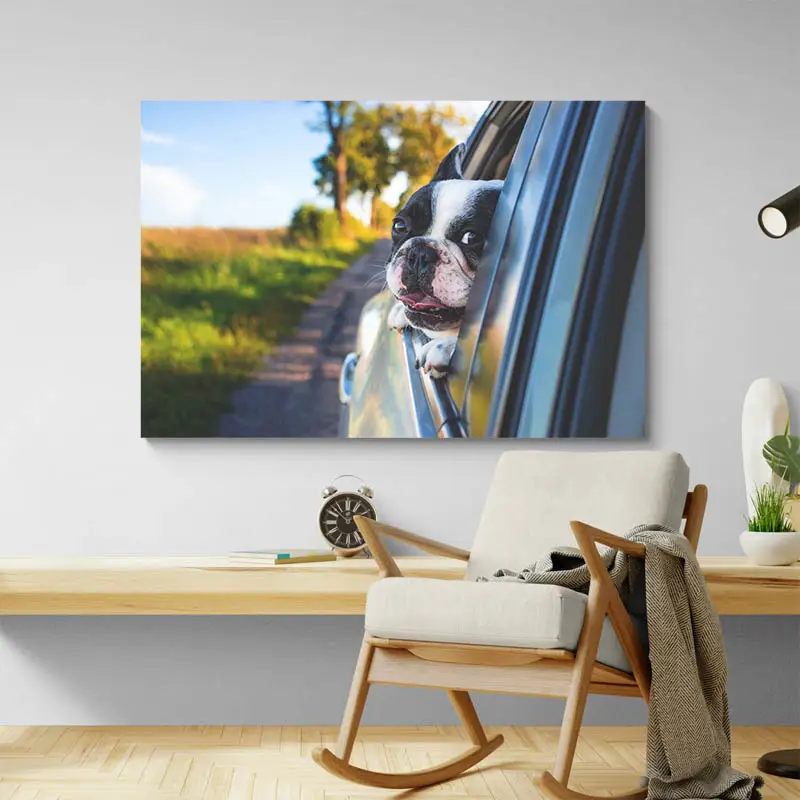 Tableau Bouledogue Français