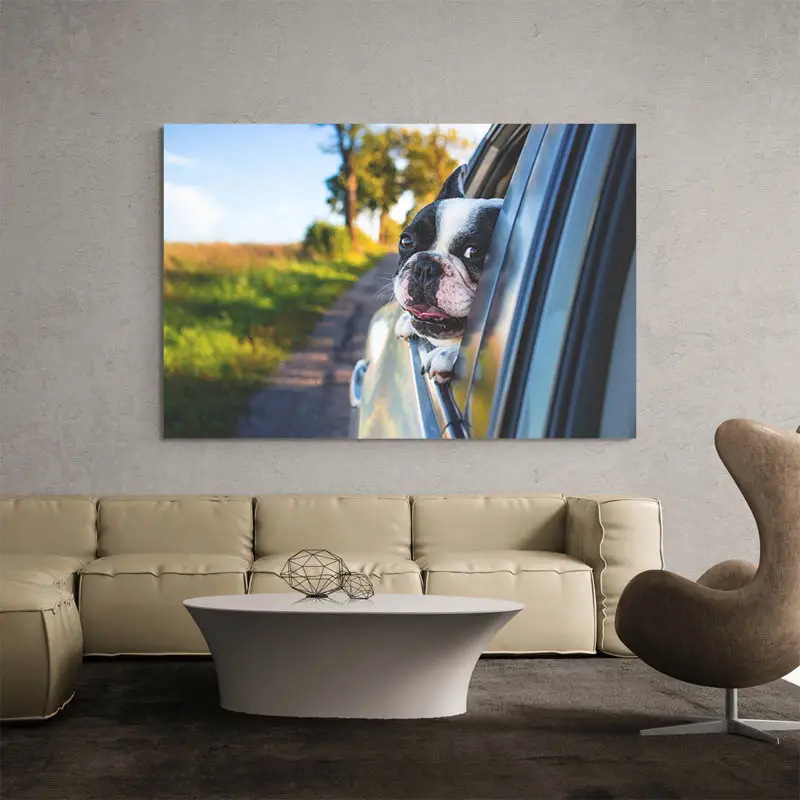 Tableau Bouledogue Français