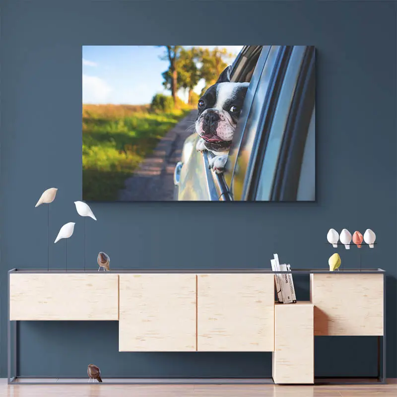 Tableau Bouledogue Français