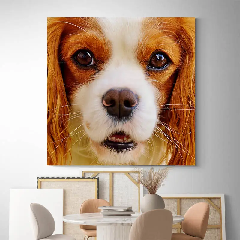 Tableau Cavalier King Charles