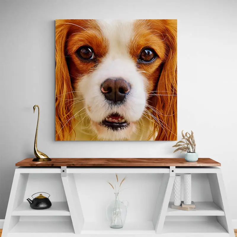 Tableau Cavalier King Charles