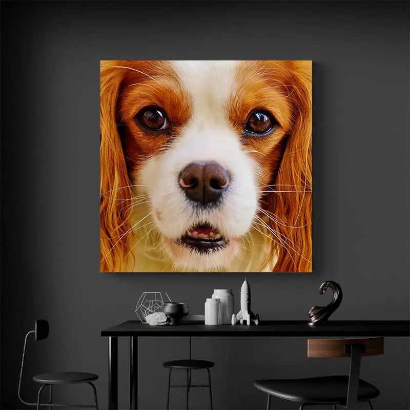 Tableau Cavalier King Charles