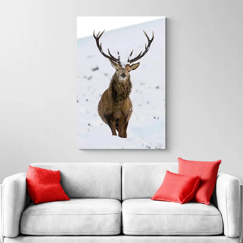Tableau Cerf dans la Neige