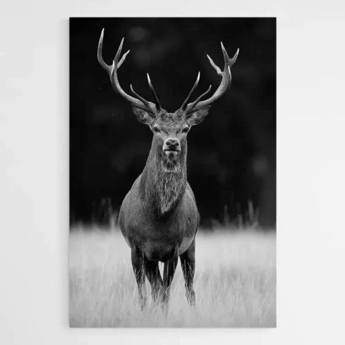 Tableau Cerf Noir et Blanc