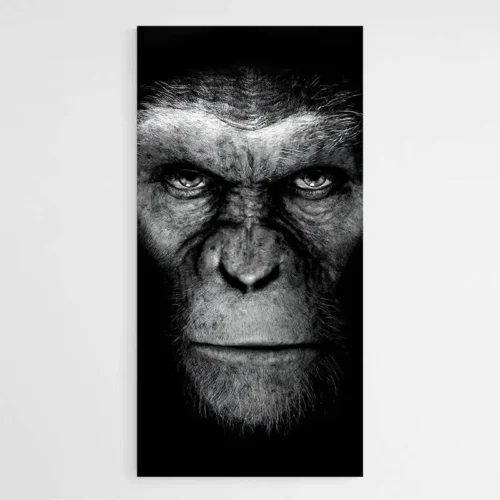 Tableau César Singe