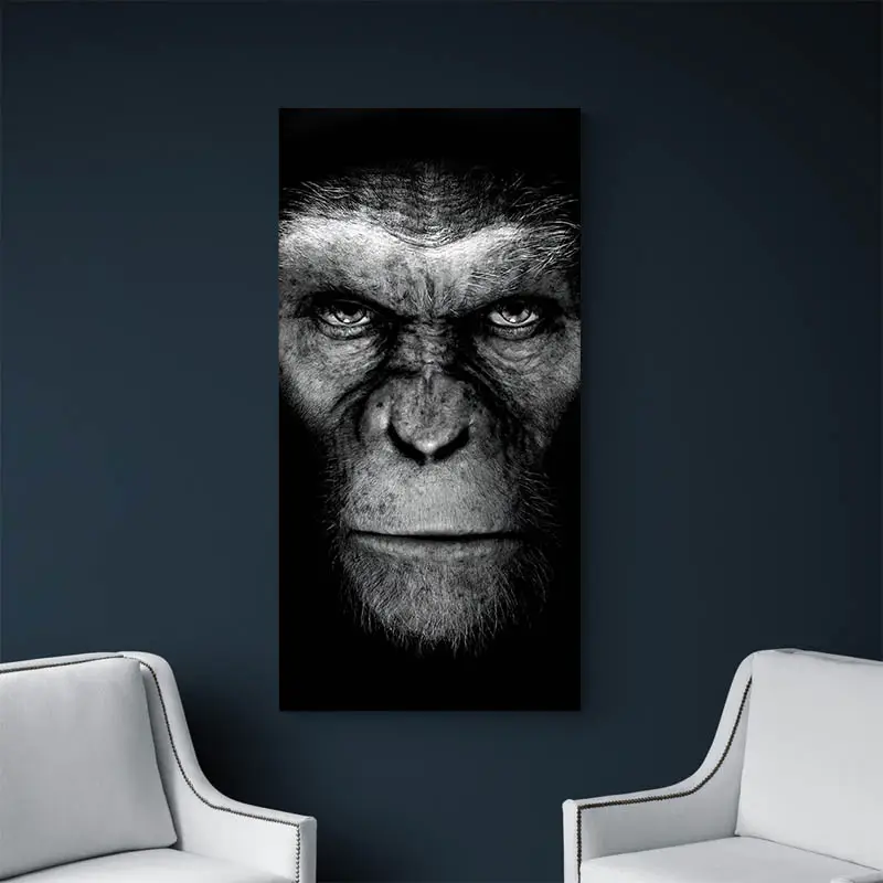 Tableau César Singe