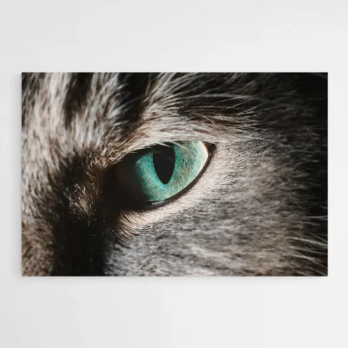 Tableau Chat Contemporain