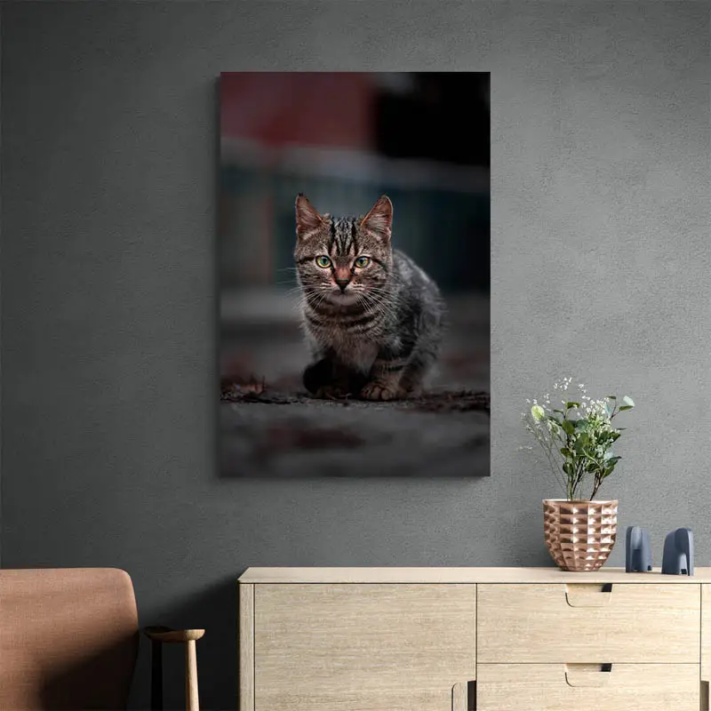 Tableau Chat Gris