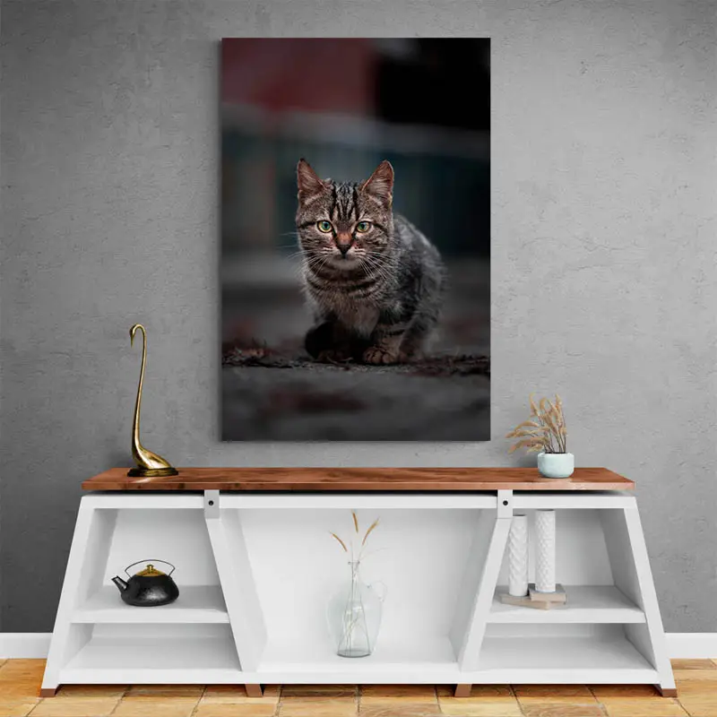 Tableau Chat Gris
