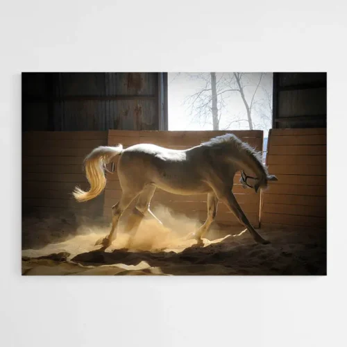 Tableau Cheval Blanc