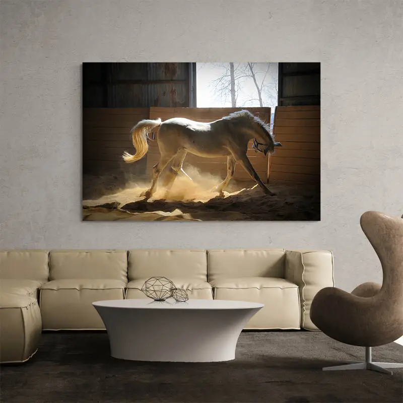 Tableau Cheval Blanc
