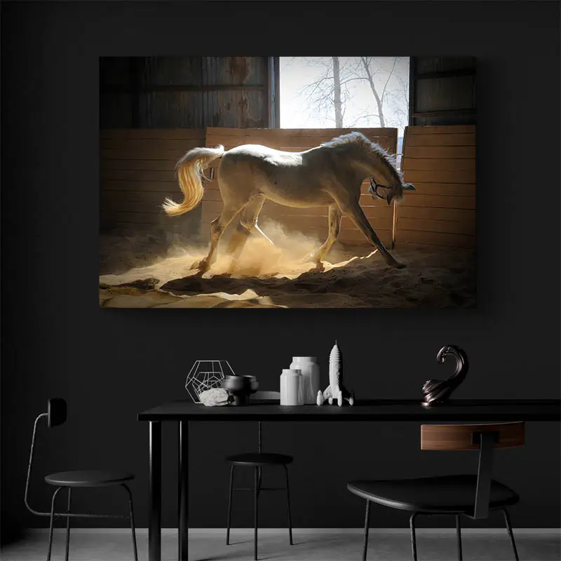 Tableau Cheval Blanc