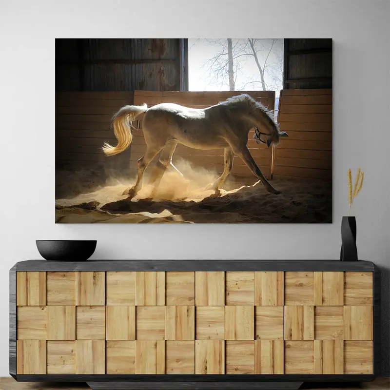 Tableau Cheval Blanc