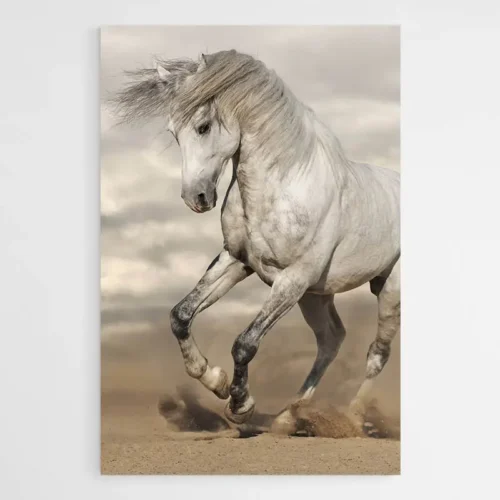 Tableau Cheval Crinière au Vent