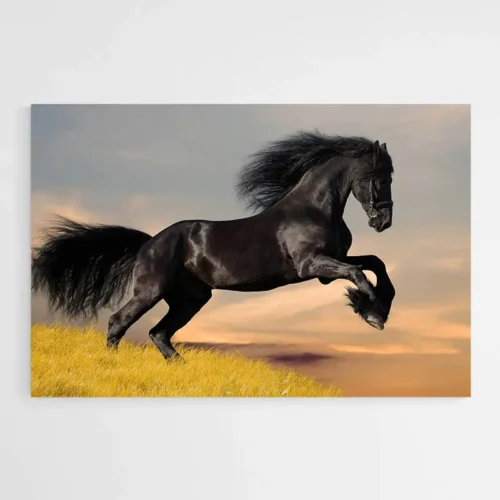 Tableau Cheval Noir