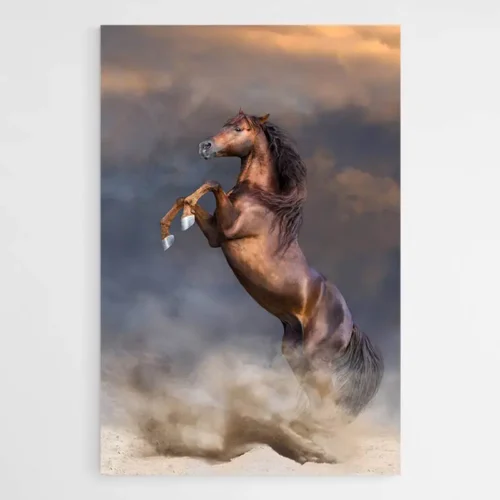 Tableau Cheval Qui se Cabre