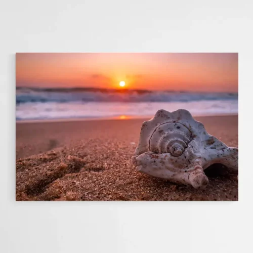 Tableau Coquillage Sable
