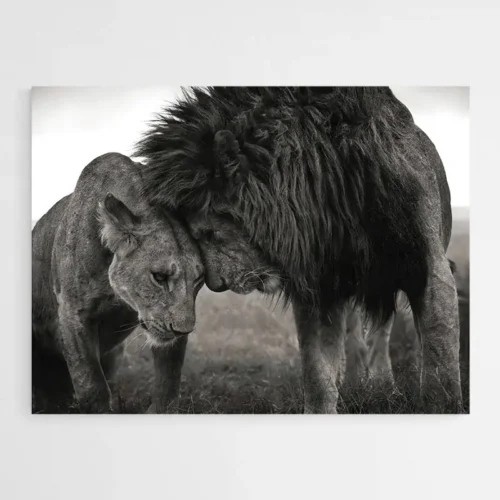 Tableau Couple Lion