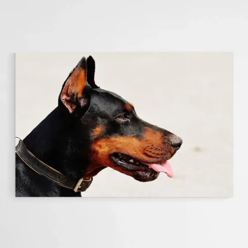 Tableau Doberman