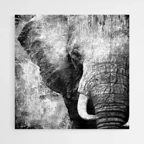 Tableau Éléphant Gris