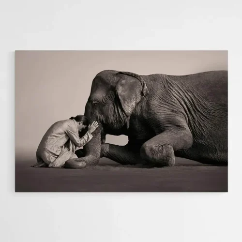 Tableau Éléphant Zen