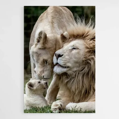 Tableau Famille Lion