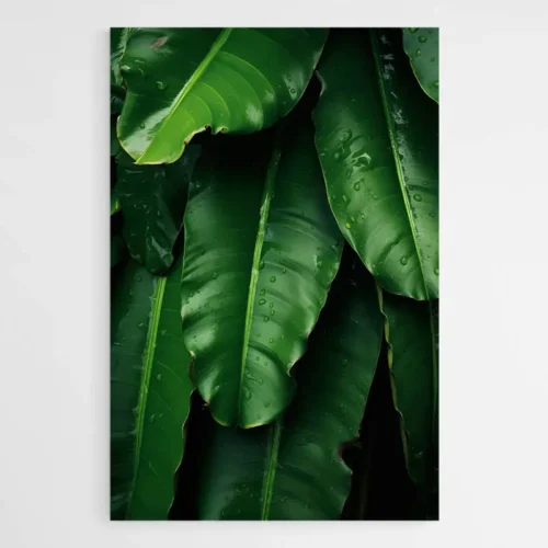 Tableau Feuille de Bananier
