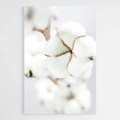 Tableau Fleur de Coton
