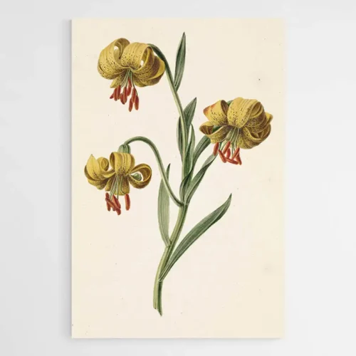 Tableau Fleur de Lys