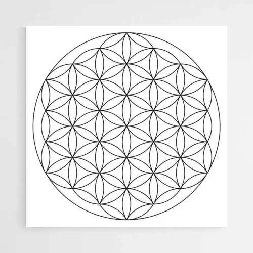 Tableau Fleur de Vie